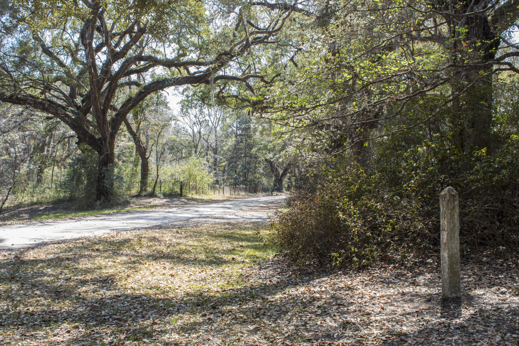 Old King’s Highway marker in McClellanville